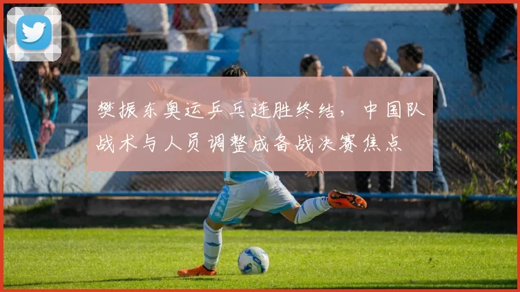 樊振东奥运乒乓连胜终结，中国队战术与人员调整成备战决赛焦点