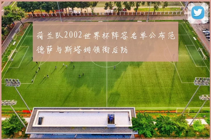 荷兰队2002世界杯阵容名单公布范德萨与斯塔姆领衔后防