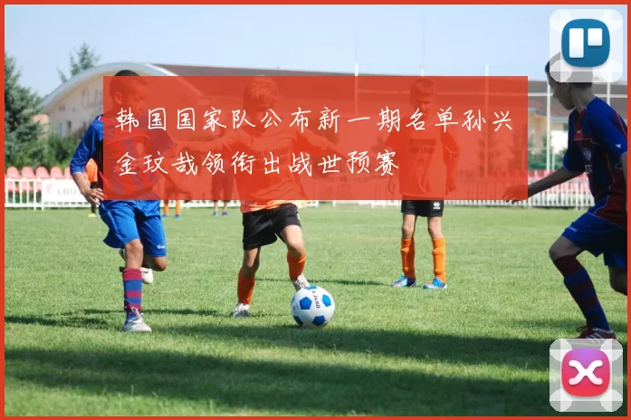 韩国国家队公布新一期名单孙兴慜金玟哉领衔出战世预赛