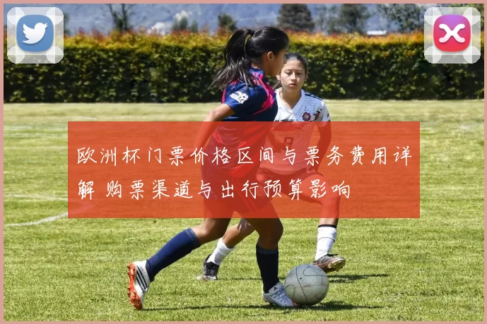 欧洲杯门票价格区间与票务费用详解 购票渠道与出行预算影响