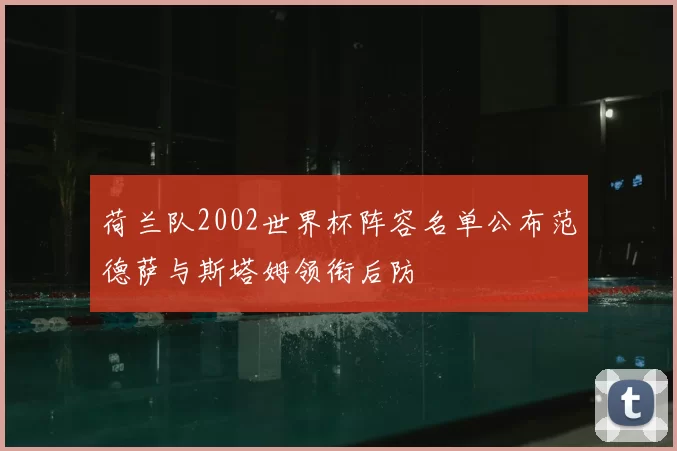 荷兰队2002世界杯阵容名单公布范德萨与斯塔姆领衔后防