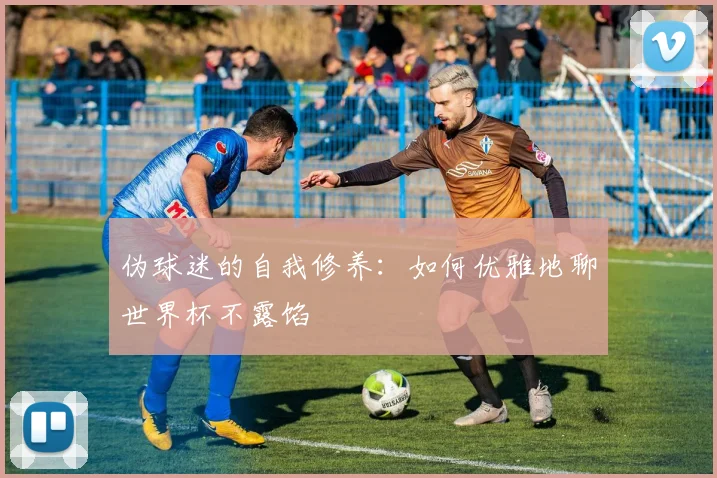 伪球迷的自我修养:如何优雅地聊世界杯不露馅