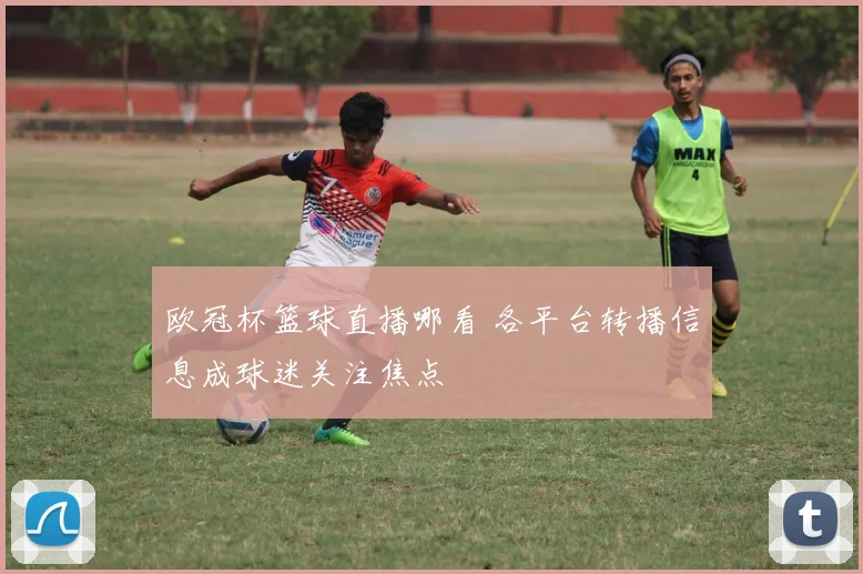欧冠杯篮球直播哪看 各平台转播信息成球迷关注焦点
