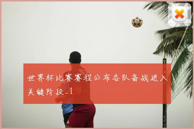 世界杯比赛赛程公布各队备战进入关键阶段_1